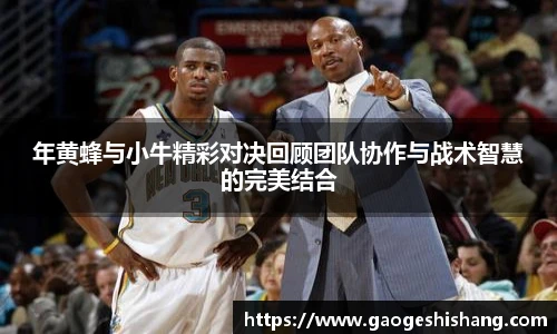 年黄蜂与小牛精彩对决回顾团队协作与战术智慧的完美结合